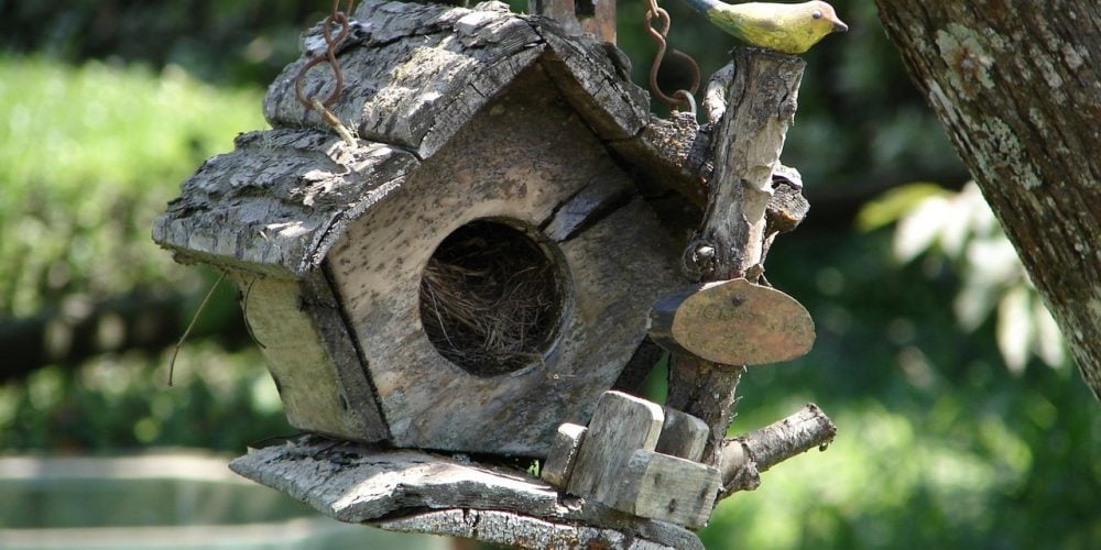 What Kind of Wood Should I Use to Build a Birdhouse?