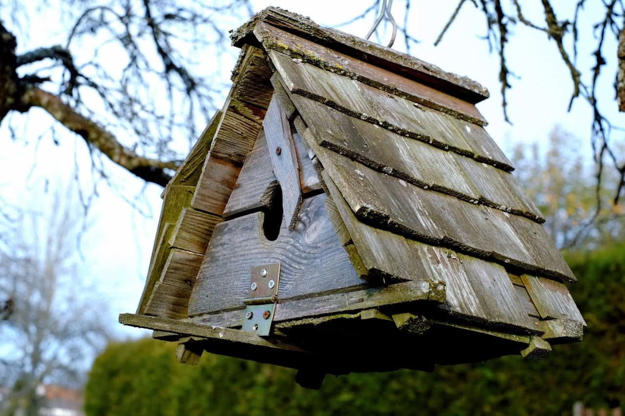 Waterproof Your Birdhouse In 6 Simple Steps (Longevity Tips)